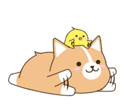 consideration Welsh Corgi vol.2 sticker #8235820