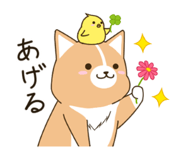 consideration Welsh Corgi vol.2 sticker #8235830