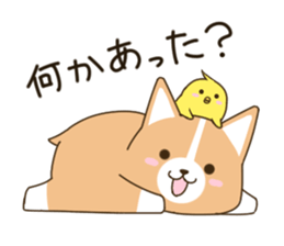 consideration Welsh Corgi vol.2 sticker #8235832