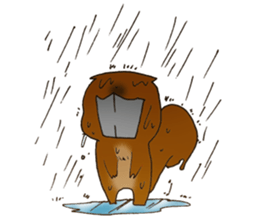 The overbite squirrel sticker #8236541