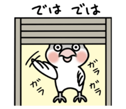 Mr. 365 day chicken sticker #8236651