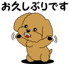 Polite language of Toy Poodle sticker #8236852