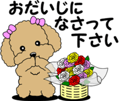 Polite language of Toy Poodle sticker #8236858