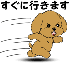 Polite language of Toy Poodle sticker #8236860