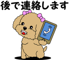 Polite language of Toy Poodle sticker #8236861