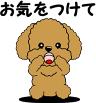 Polite language of Toy Poodle sticker #8236862