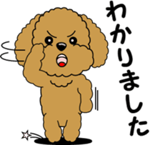 Polite language of Toy Poodle sticker #8236867