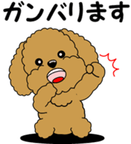 Polite language of Toy Poodle sticker #8236873