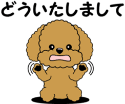 Polite language of Toy Poodle sticker #8236875