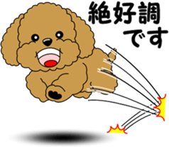 Polite language of Toy Poodle sticker #8236878