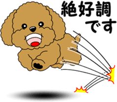 Polite language of Toy Poodle sticker #8236878