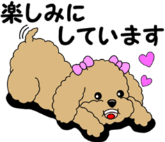 Polite language of Toy Poodle sticker #8236879