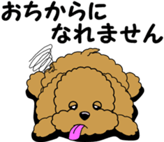 Polite language of Toy Poodle sticker #8236883