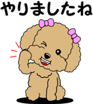 Polite language of Toy Poodle sticker #8236885