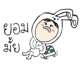 The Rabbit Girl & the Turtle sticker #8237527