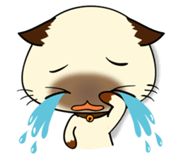 Wichienmas, Happy Siamese Cat. sticker #8238137