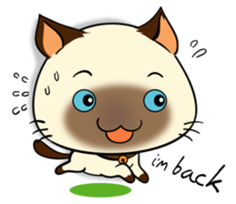 Wichienmas,  Happy Siamese Cat. sticker #8238157