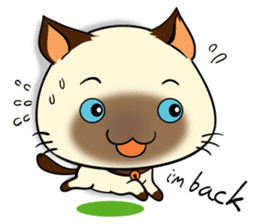 Wichienmas,  Happy Siamese Cat. sticker #8238157