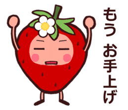 High and Low of The Strawberry sticker #8238573