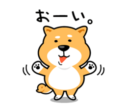 Oh My Dog! Daily Shiba Inu sticker #8240316
