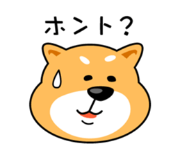 Oh My Dog! Daily Shiba Inu sticker #8240320