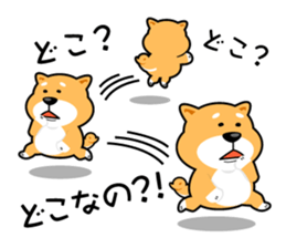 Oh My Dog! Daily Shiba Inu sticker #8240321