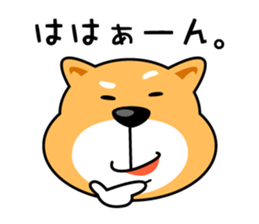 Oh My Dog! Daily Shiba Inu sticker #8240334