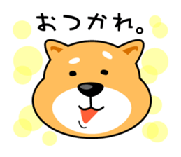 Oh My Dog! Daily Shiba Inu sticker #8240341