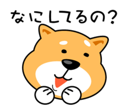 Oh My Dog! Daily Shiba Inu sticker #8240354