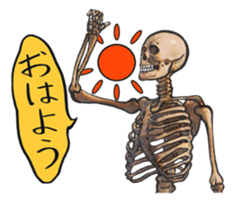 THE Bone. sticker #8240453