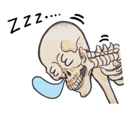 THE Bone. sticker #8240455