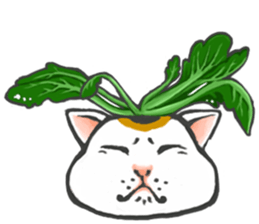 so many lol cats!!! sticker #8240938