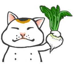 so many lol cats!!! sticker #8240940