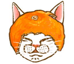 so many lol cats!!! sticker #8240953