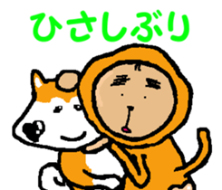 Shiba inu MOMO chan the third as well! 6 sticker #8242438