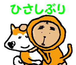 Shiba inu MOMO chan the third as well! 6 sticker #8242438
