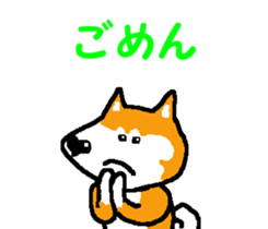 Shiba inu MOMO chan the third as well! 6 sticker #8242440