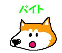 Shiba inu MOMO chan the third as well! 6 sticker #8242441