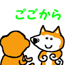 Shiba inu MOMO chan the third as well! 6 sticker #8242444