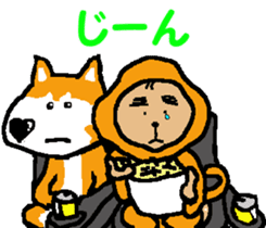 Shiba inu MOMO chan the third as well! 6 sticker #8242450