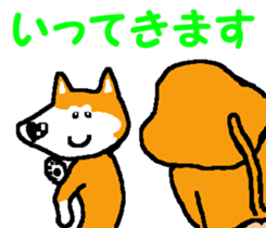 Shiba inu MOMO chan the third as well! 6 sticker #8242453