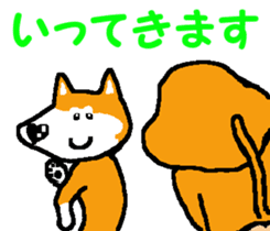 Shiba inu MOMO chan the third as well! 6 sticker #8242453