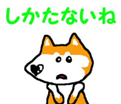 Shiba inu MOMO chan the third as well! 6 sticker #8242464