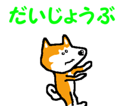 Shiba inu MOMO chan the third as well! 6 sticker #8242470
