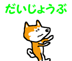 Shiba inu MOMO chan the third as well! 6 sticker #8242470