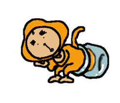 Shiba inu MOMO chan the third as well! 6 sticker #8242474