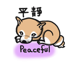 Shiba dog PanPan's normal life  3 sticker #8243400