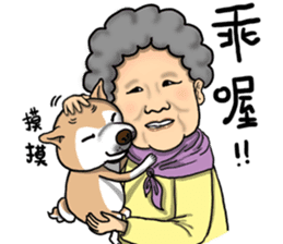Shiba dog PanPan's normal life  3 sticker #8243405