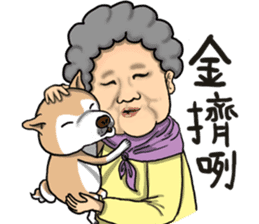 Shiba dog PanPan's normal life  3 sticker #8243406