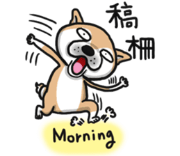Shiba dog PanPan's normal life  3 sticker #8243412